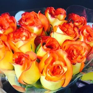 Meet your Posher, Jay