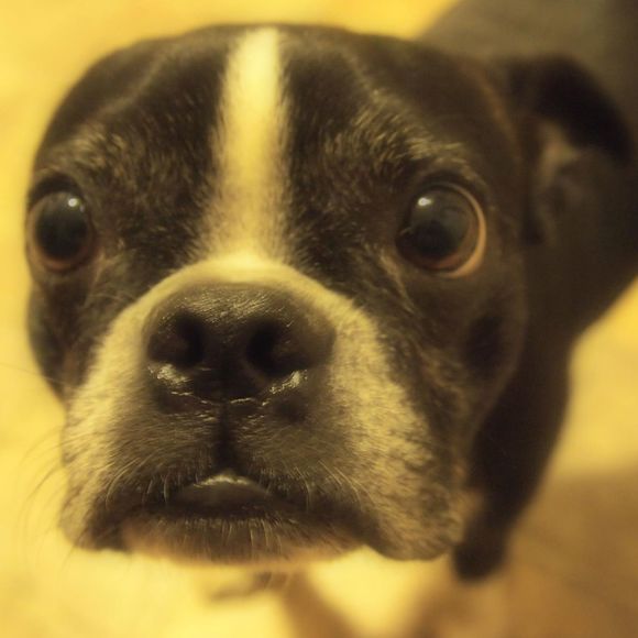 Meet your Posher, Helen - Picture 1 of 1