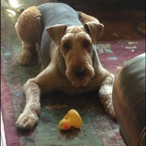 Meet your Posher, Bethany