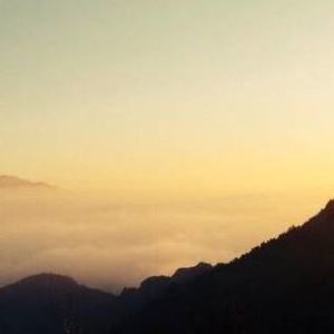 Meet your Posher, Jesse