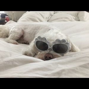 Meet your Posher, Shelly