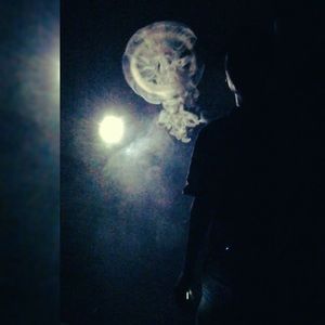 Meet your Posher, Caleb