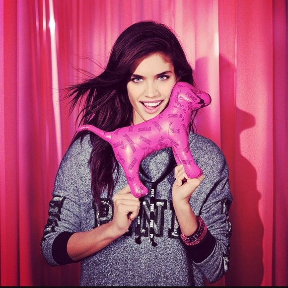 Large VS Pink "Mini" Dog