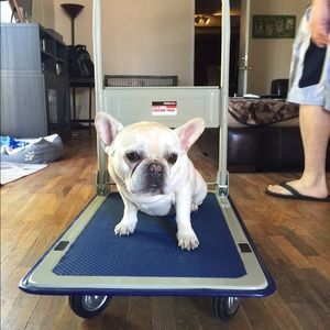 Meet your Posher, Amber