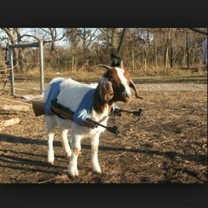 Meet your Posher, Jordan