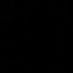 Meet your Posher, Kia