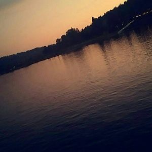 Meet your Posher, Lizbeth