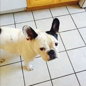 Meet your Posher, Matt