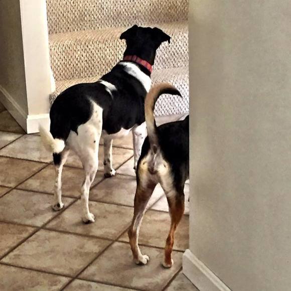 Meet your Posher, Jenny - Picture 1 of 1