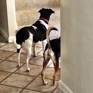 Meet your Posher, Jenny