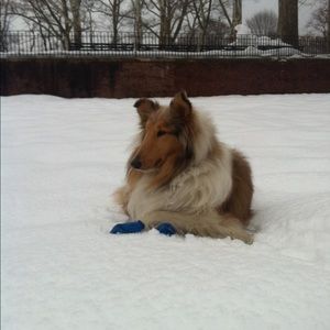 Meet your Posher, Kathryn