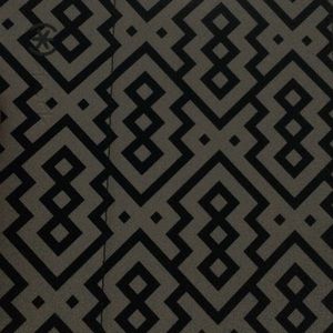 Meet your Posher, Lizzie