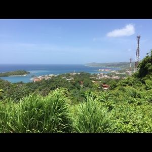 Meet your Posher, Cecilia