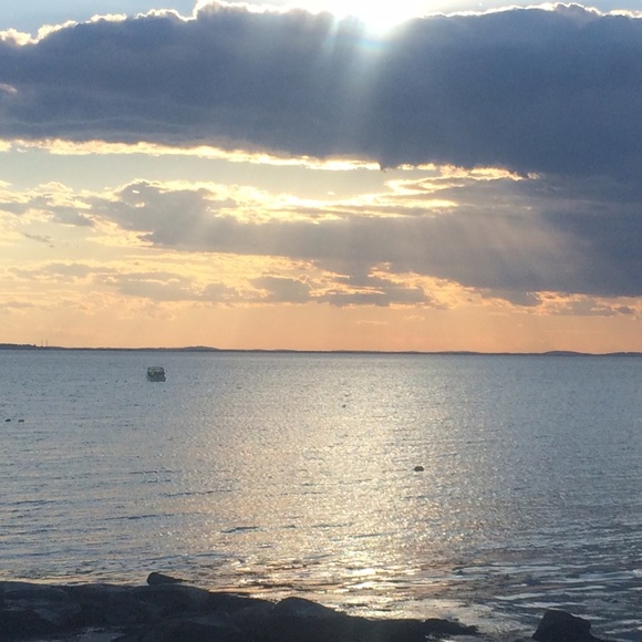 Meet your Posher, Nora - Picture 2 of 4