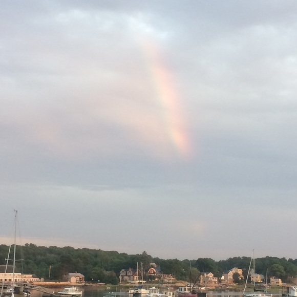 Meet your Posher, Nora - Picture 4 of 4