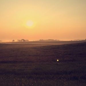 Meet your Posher, Laney