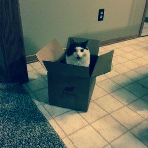 Meet your Posher, Angela