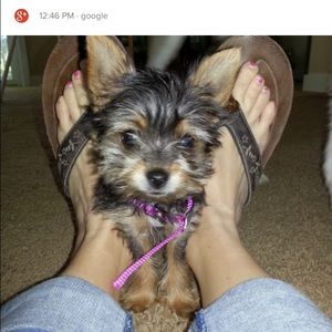 Meet your Posher, Tiffanie