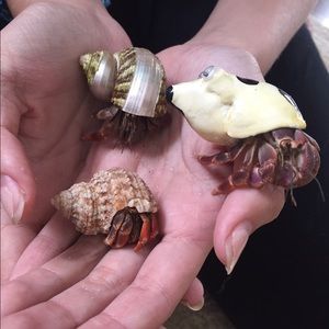 Meet your Posher, Michelle