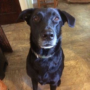 Meet your Posher, Sgt