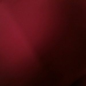 Meet your Posher, Ana