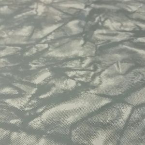 Meet your Posher, Phylicia