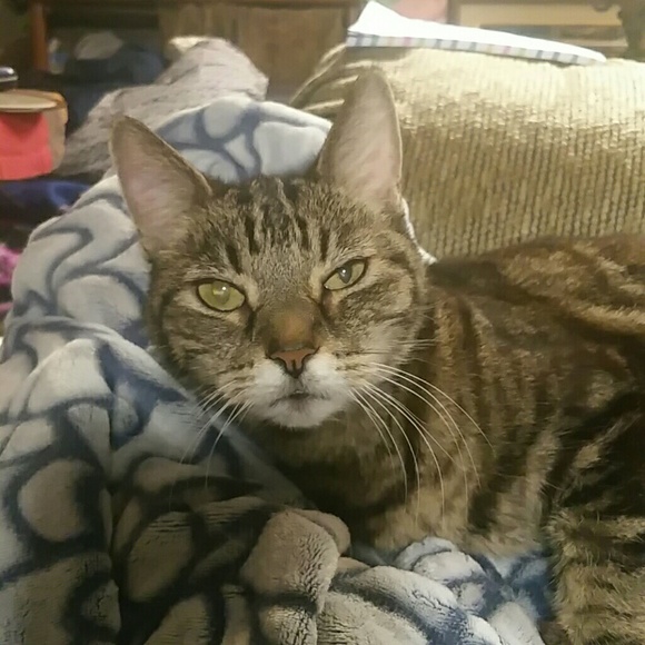 Meet your Posher, Kellee - Picture 2 of 2