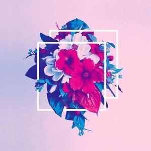 Meet your Posher, Lindsay