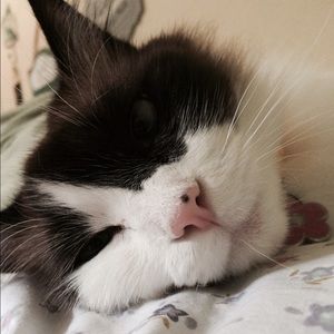 Meet your Posher, Celia