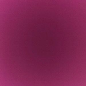 Meet your Posher, Hunter