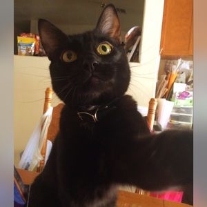 Meet your Posher, Melissa