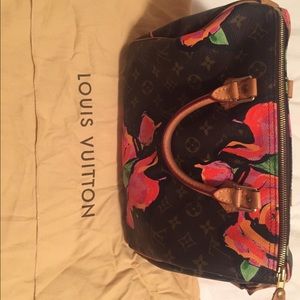 Louis vuitton purse
