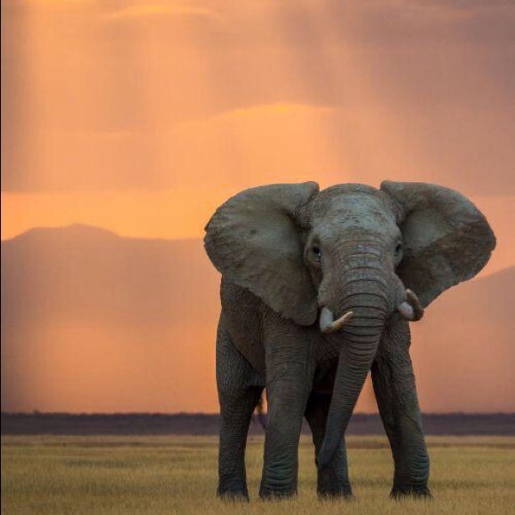 Meet your Posher, Mary