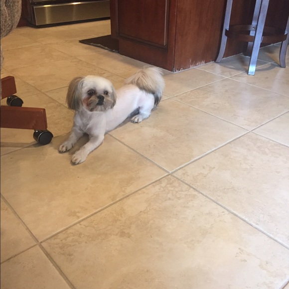 Meet your Posher, Diane - Picture 3 of 4