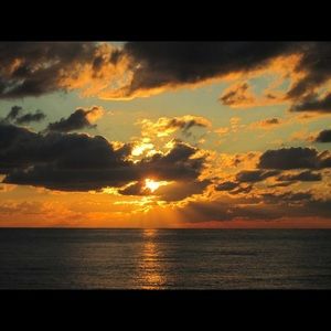 Meet your Posher, Mia