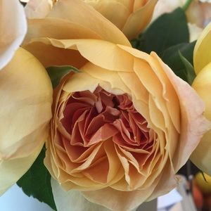 Meet your Posher, Leslie