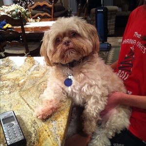 Meet your Posher, Noelle