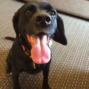 Meet your Posher, Robyn