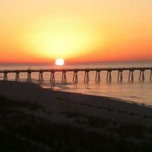 Meet your Posher, Bea