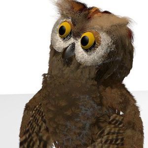 Meet your Posher, Brenda