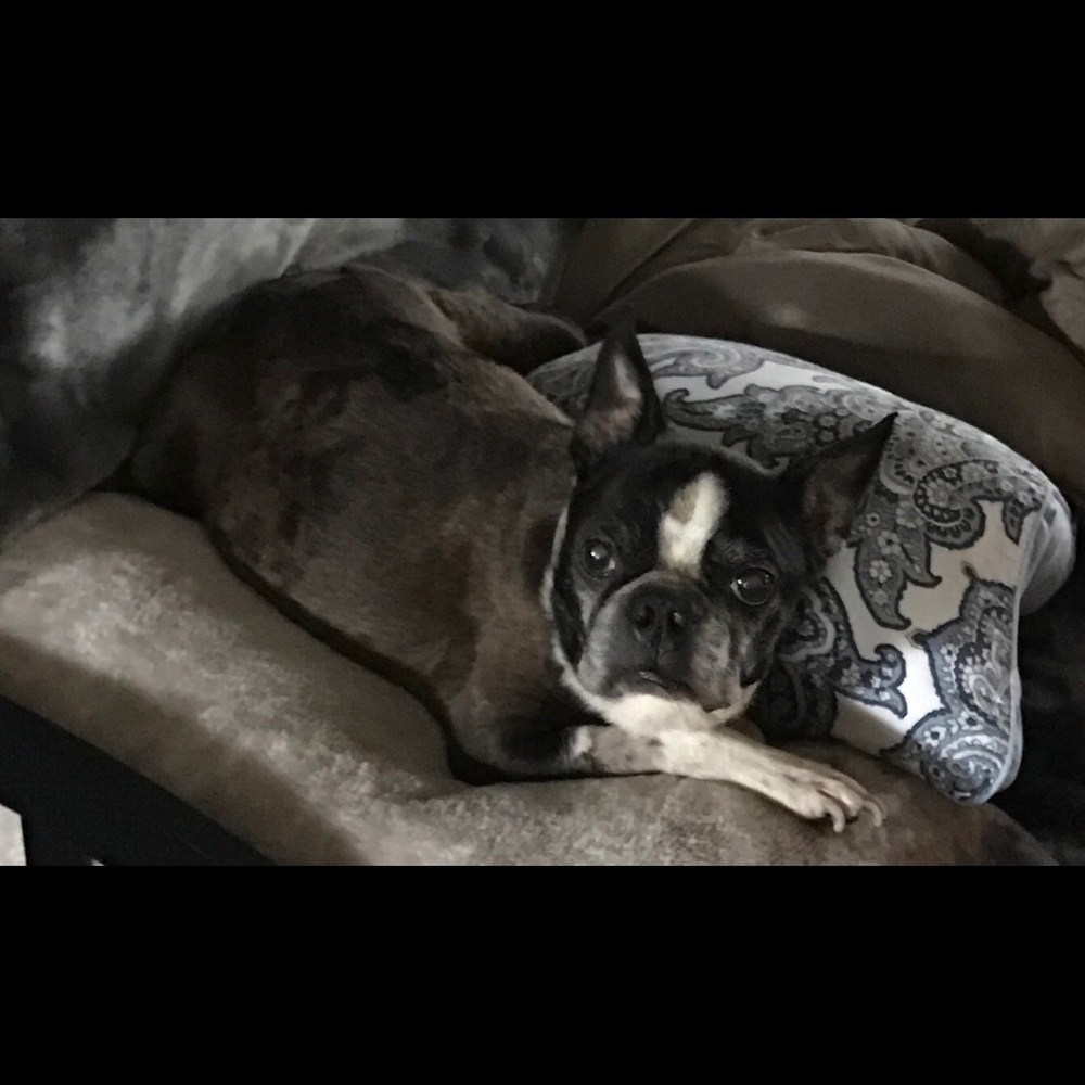 Meet your Posher, Pamala