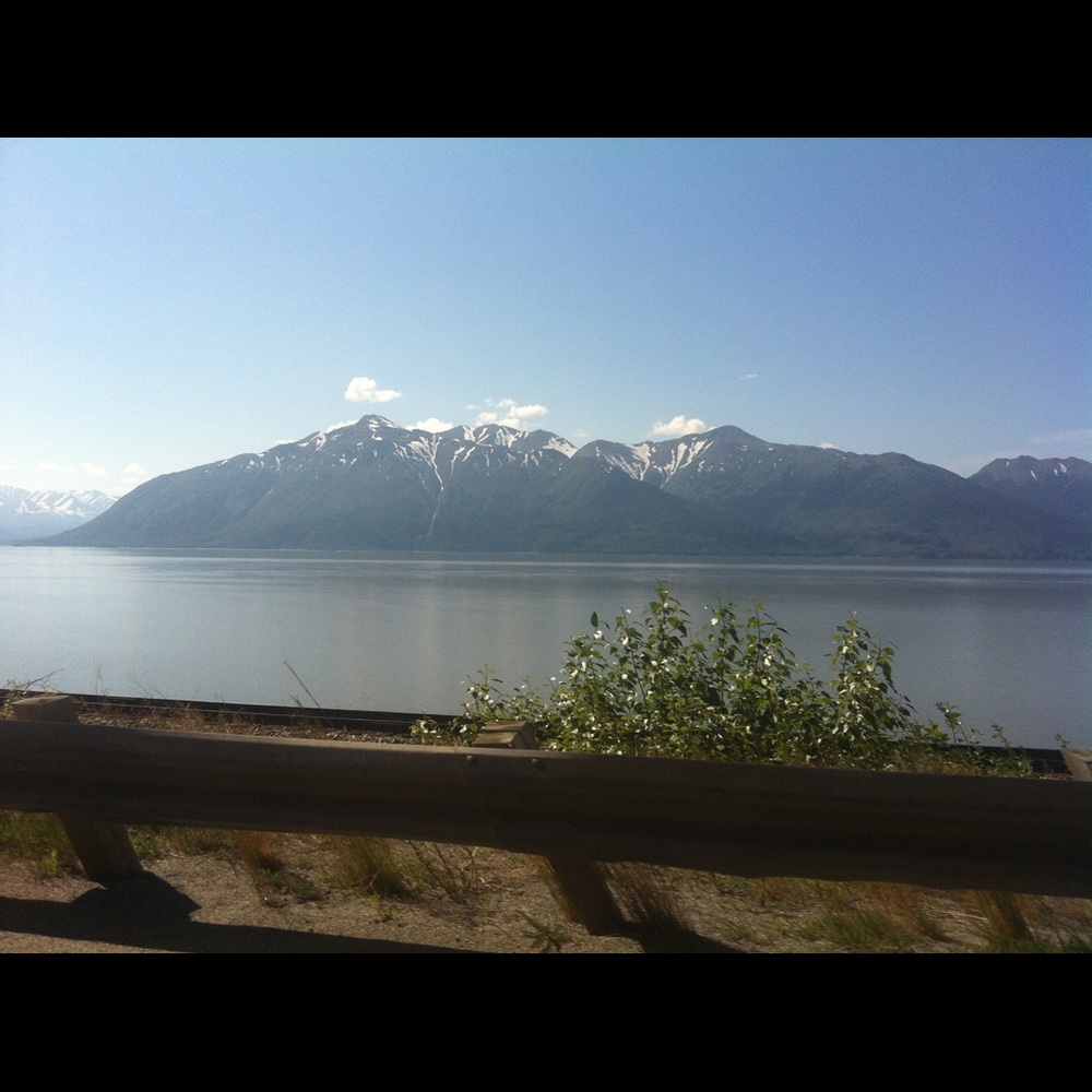 Meet your Posher, Teresa