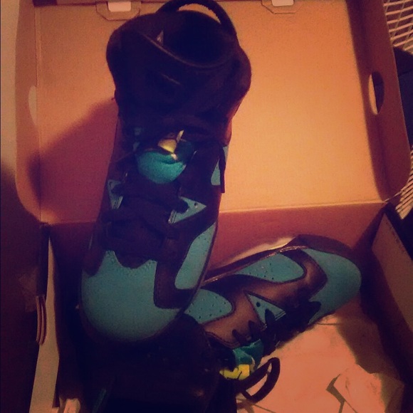 Jordan 6s. 10/10 condition.