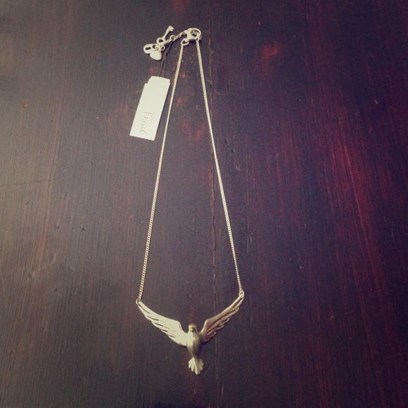 Fossil Dove Necklace