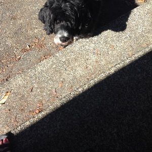 Meet your Posher, Tina