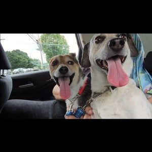 Meet your Posher, Megan