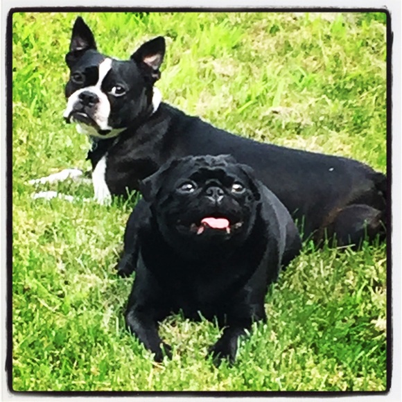 Meet your seller 🎀 - Picture 2 of 4