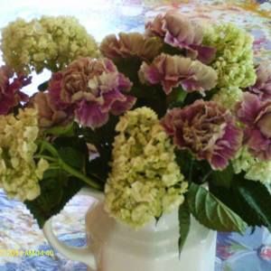 Meet your Posher, Linda