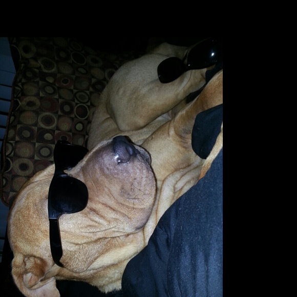 Meet your Posher, Joseph - Picture 1 of 1