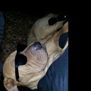 Meet your Posher, Joseph